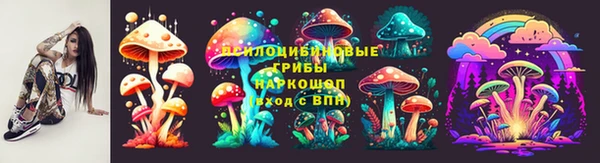 мдпв Богородицк