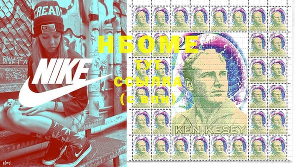 мдпв Богородицк