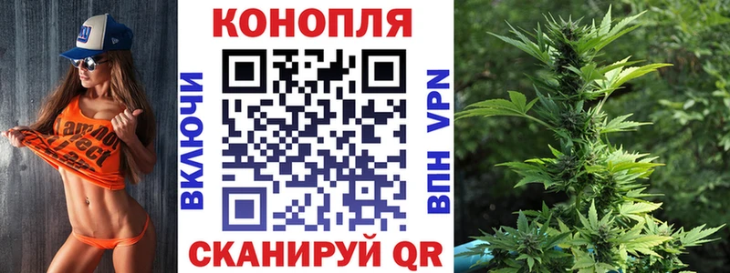 где найти   Нариманов  mega tor  Каннабис планчик 